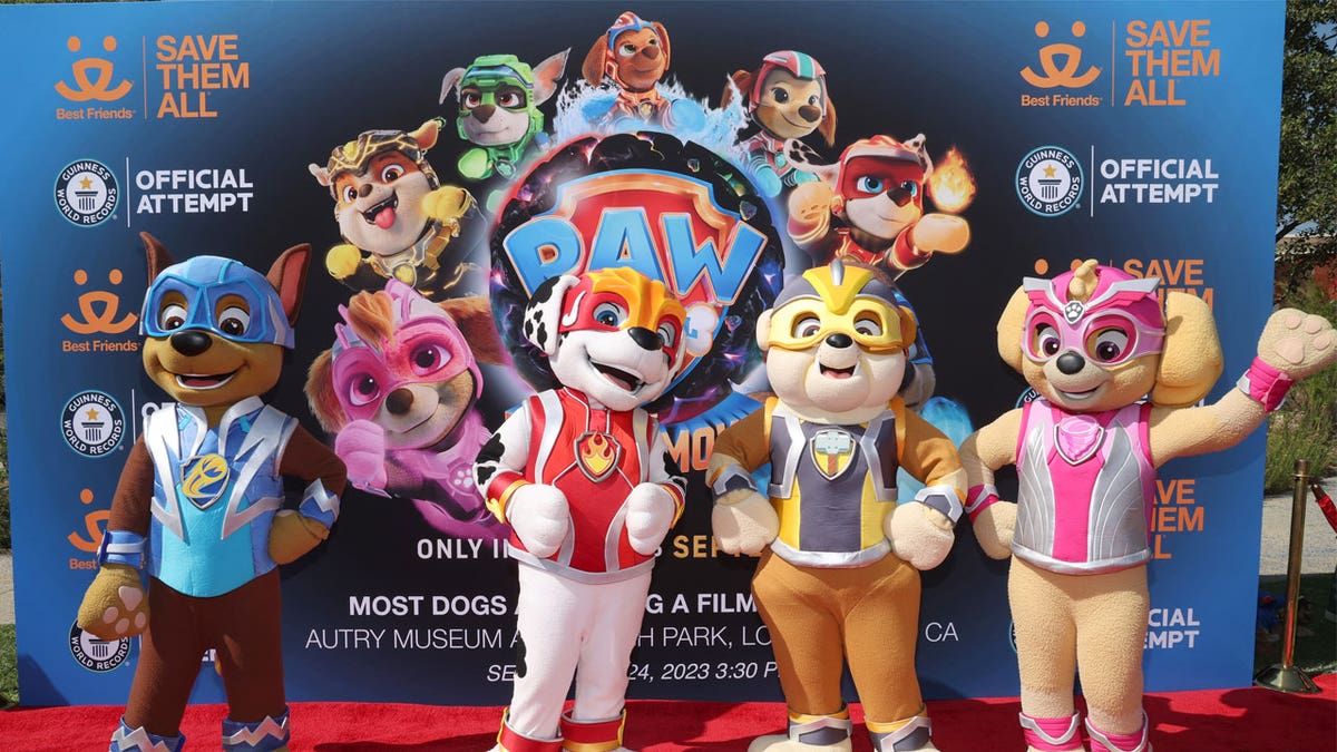 Мероприятие Paw Patrol