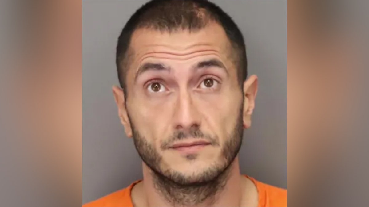 Ренато Мухадж (Renato Muhaj) mugshot