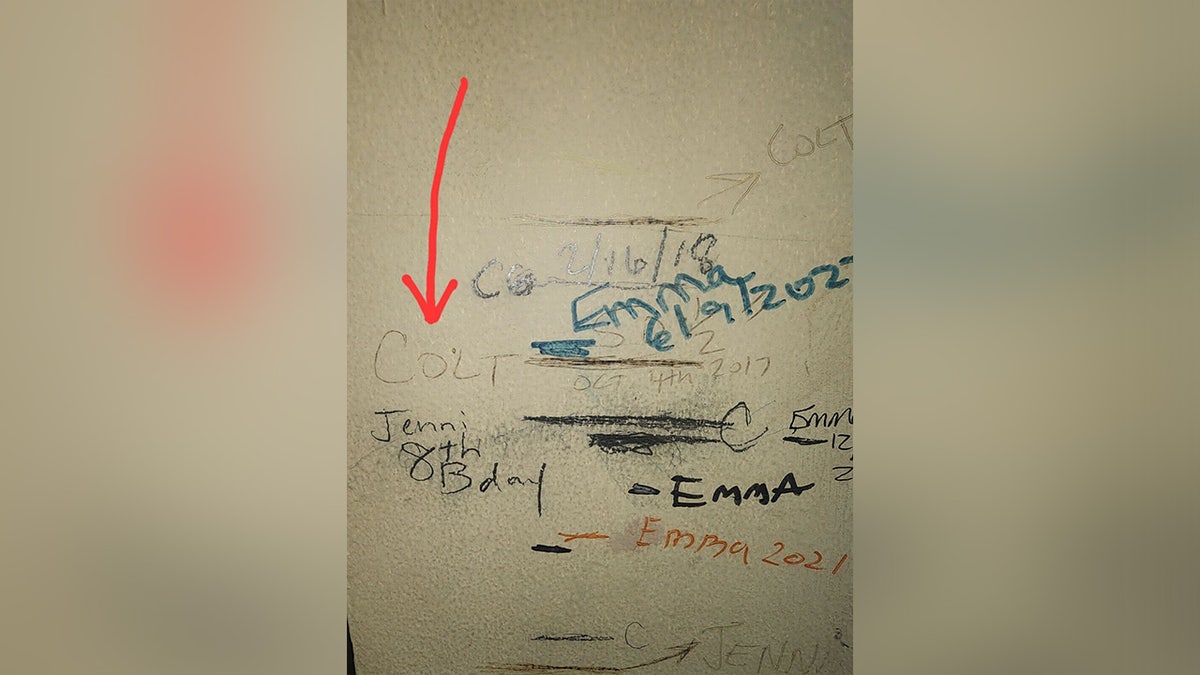 Диаграмма роста семьи Грея