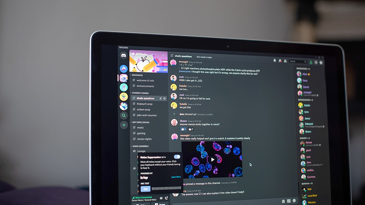 Минюст США арестовал сеть по эксплуатации детей 'Greggy's Cult', которая якобы принуждала детей к самоповреждению Чат Discord